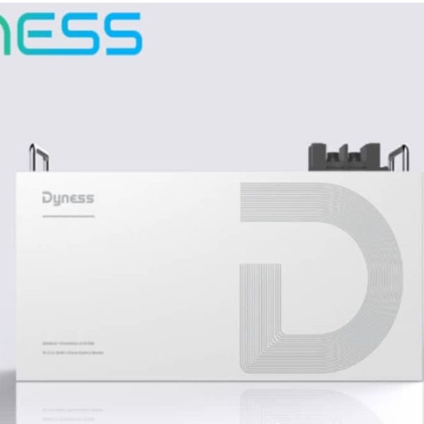 Dyness 24V 100Ah 2.56Kw DL2.5C Lithium Battery - Image 3